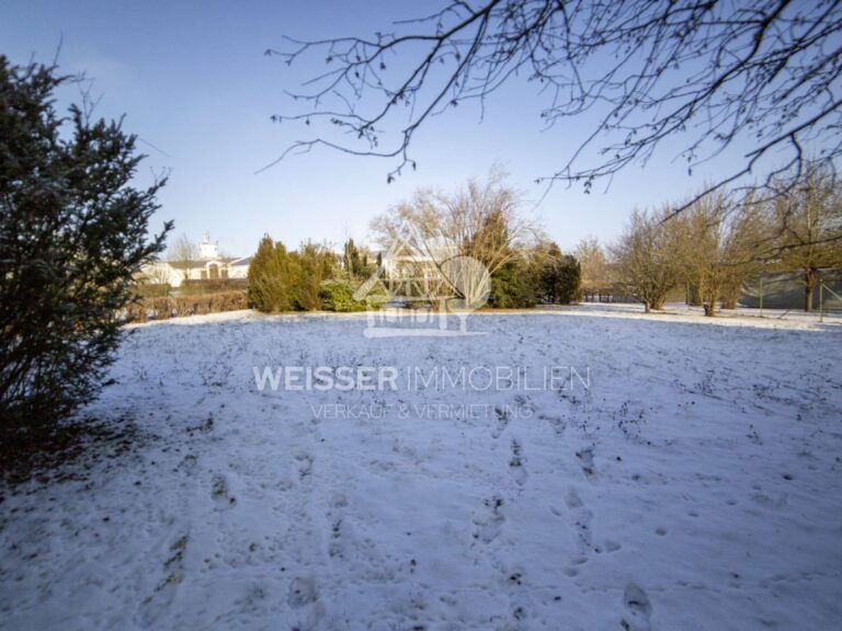 Grundstück - Garten