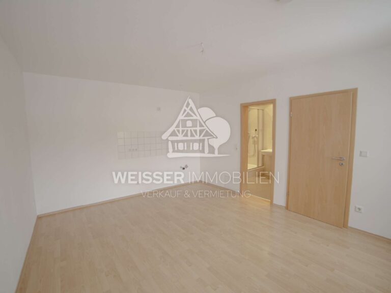 Wohnzimmer mit offener Wohnküche Ansicht 2